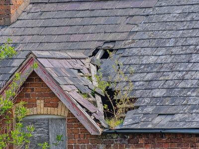 Professional water damage restoration services in Tallahassee